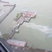 Coast Guard responding to oil sheen in Astoria, Oregon