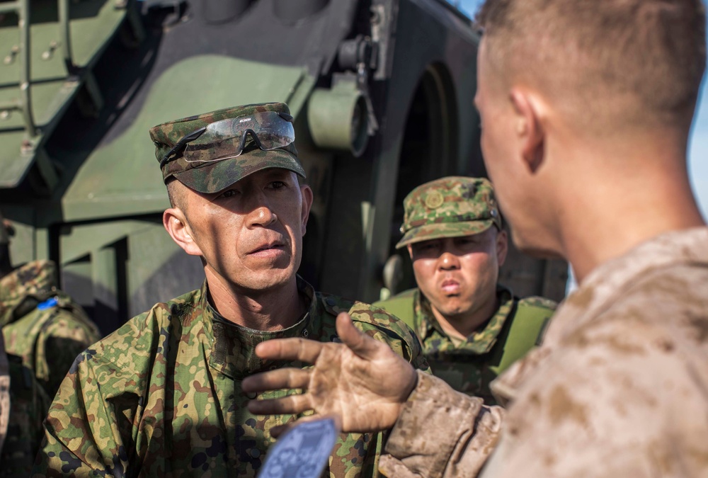 Exercise Iron Fist 2018: AAV Training