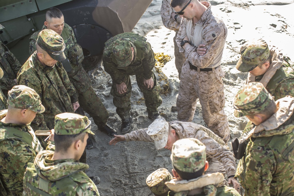 Exercise Iron Fist 2018: AAV Training