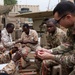 CJTF-HOA shares communications expertise with Djiboutian military partners