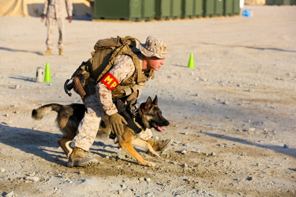 U.S. Marines conduct K-9 drills during Native Fury 18