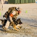 U.S. Marines conduct K-9 drills during Native Fury 18