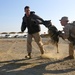 U.S. Marines conduct K-9 drills during Native Fury 18