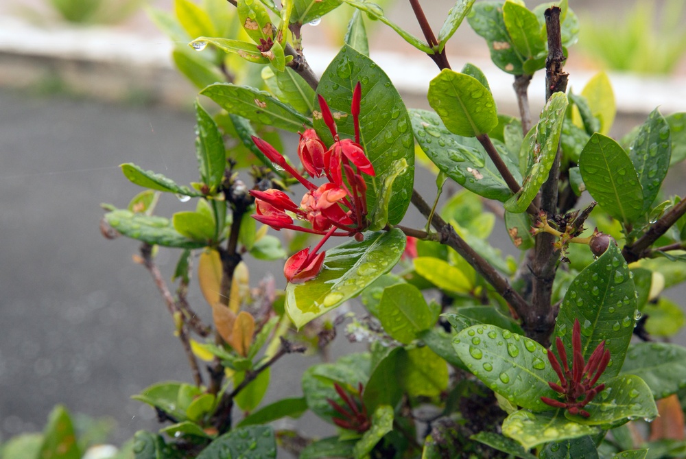 1st MAW primary staff revisits history with MCCS Battle Sites Tour [Image 8 out of 9]
