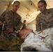 U.S. Marines and Sailors conduct mass casualty drill during Native Fury 18