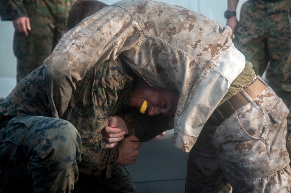 USS San Diego (LPD 22) Marine Corps Martial Arts Program