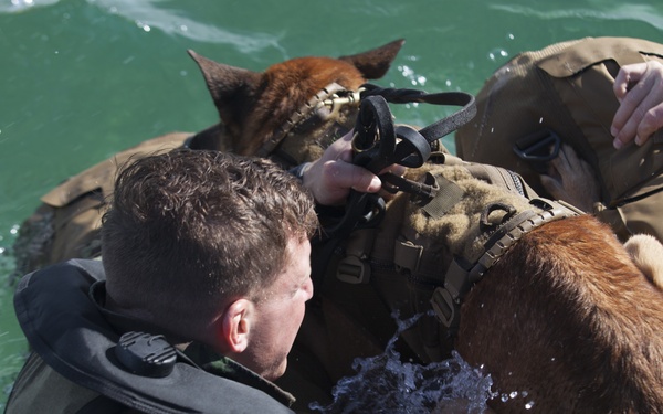 Multi-Purpose Canine Handlers: integrated force multipliers
