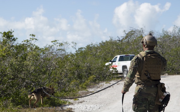 Multi-Purpose Canine Handlers: integrated force multipliers