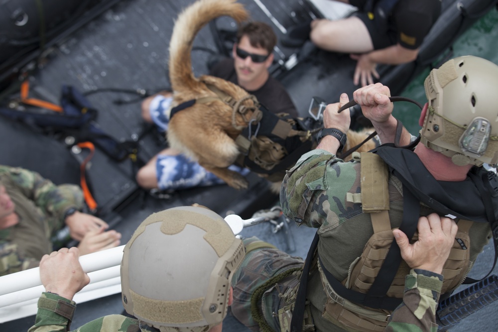Multi-Purpose Canine Handlers: integrated force multipliers