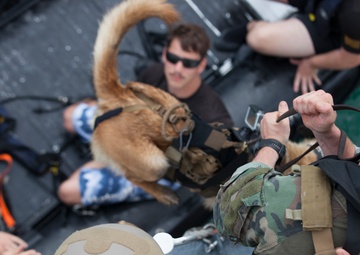 Multi-Purpose Canine Handlers: integrated force multipliers