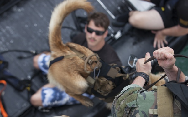 Multi-Purpose Canine Handlers: integrated force multipliers