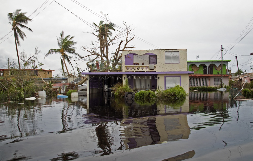 Miñi Miñi Flooded