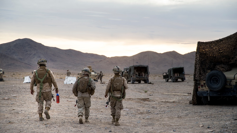 2nd LAAD Participates In A Field Training Exercise At National Training Center Fort Irwin