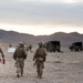 2nd LAAD Participates In A Field Training Exercise At National Training Center Fort Irwin