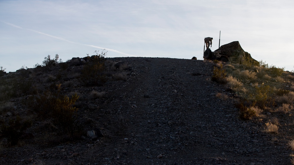 2nd LAAD Participates In A Field Training Exercise At National Training Center Fort Irwin