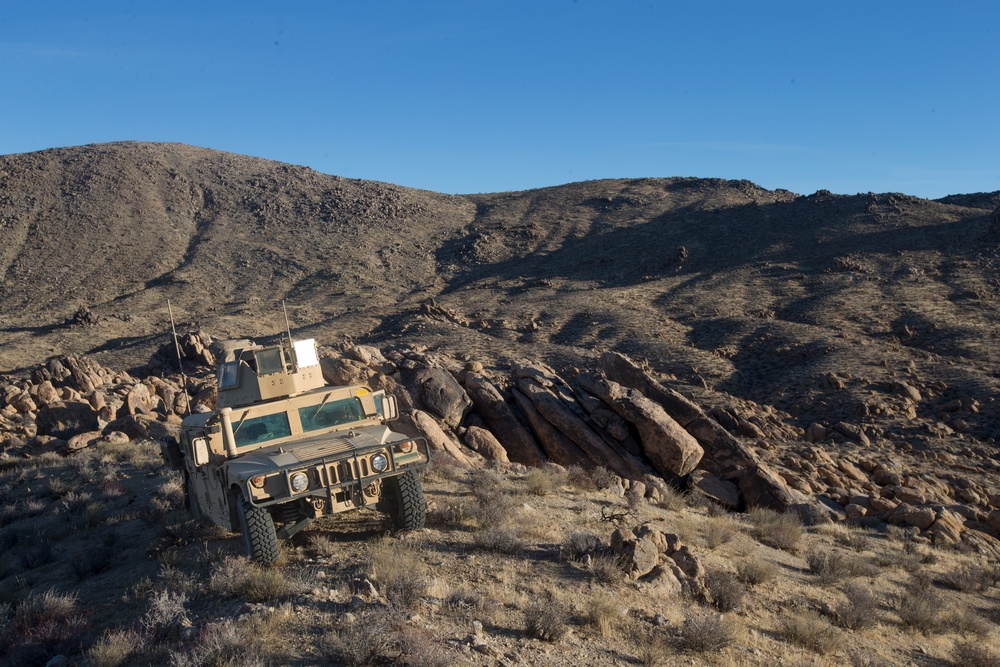 2nd LAAD Participates In A Field Training Exercise At National Training Center Fort Irwin