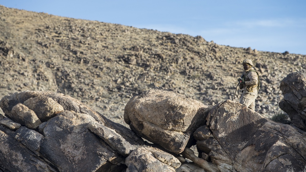 2nd LAAD Participates In A Field Training Exercise At National Training Center Fort Irwin