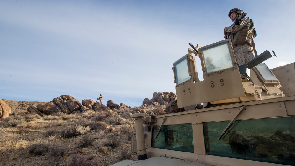 2nd LAAD Participates In A Field Training Exercise At National Training Center Fort Irwin