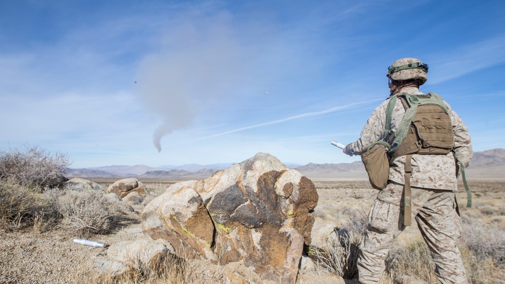 2nd LAAD Participates In A Field Training Exercise At National Training Center Fort Irwin