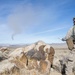 2nd LAAD Participates In A Field Training Exercise At National Training Center Fort Irwin