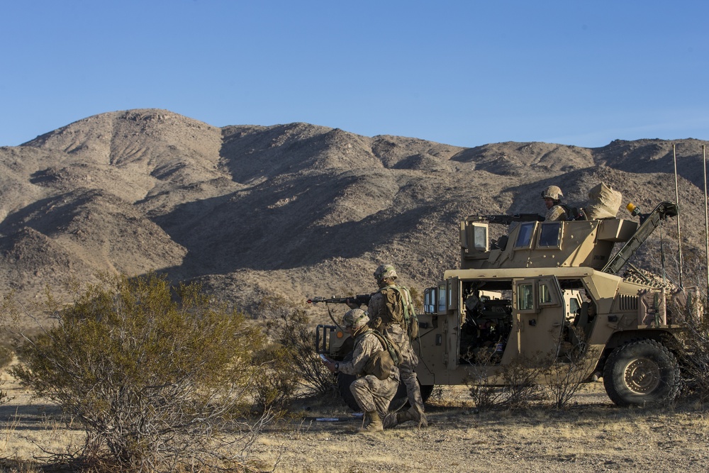 2nd LAAD Participates In A Field Training Exercise At National Training Center Fort Irwin