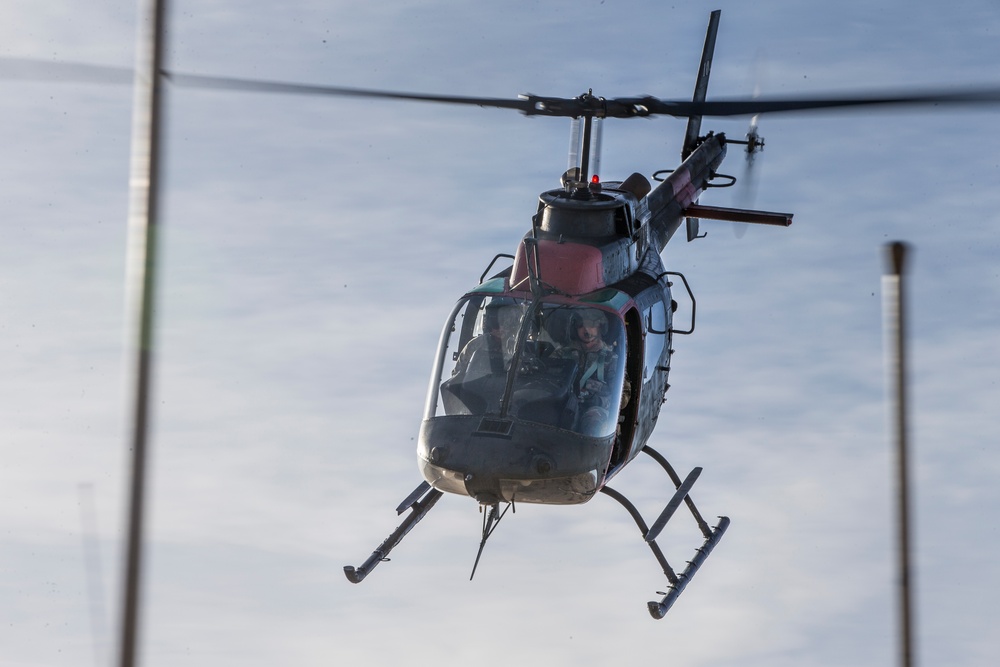 2nd LAAD Participates In A Field Training Exercise At National Training Center Fort Irwin