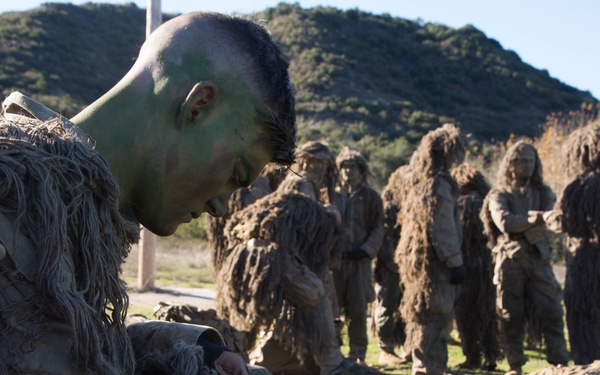 Wallowing with the PIGs