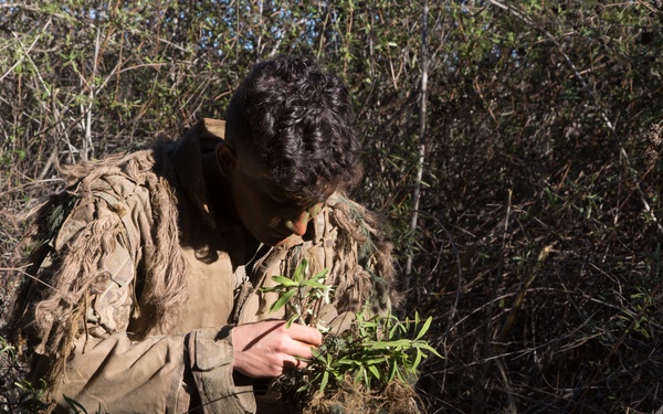 Wallowing with the PIGs