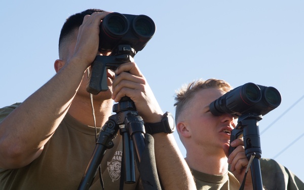 Wallowing with the PIGs