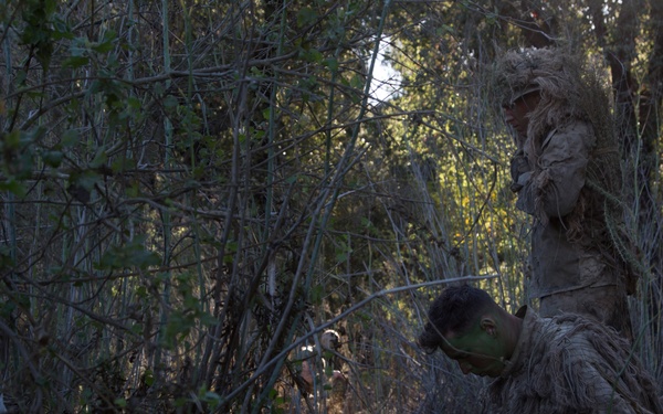 Wallowing with the PIGs