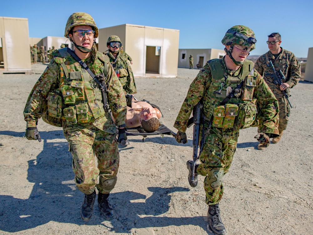 Exercise Iron Fist 2018: Combat Life Saver Course