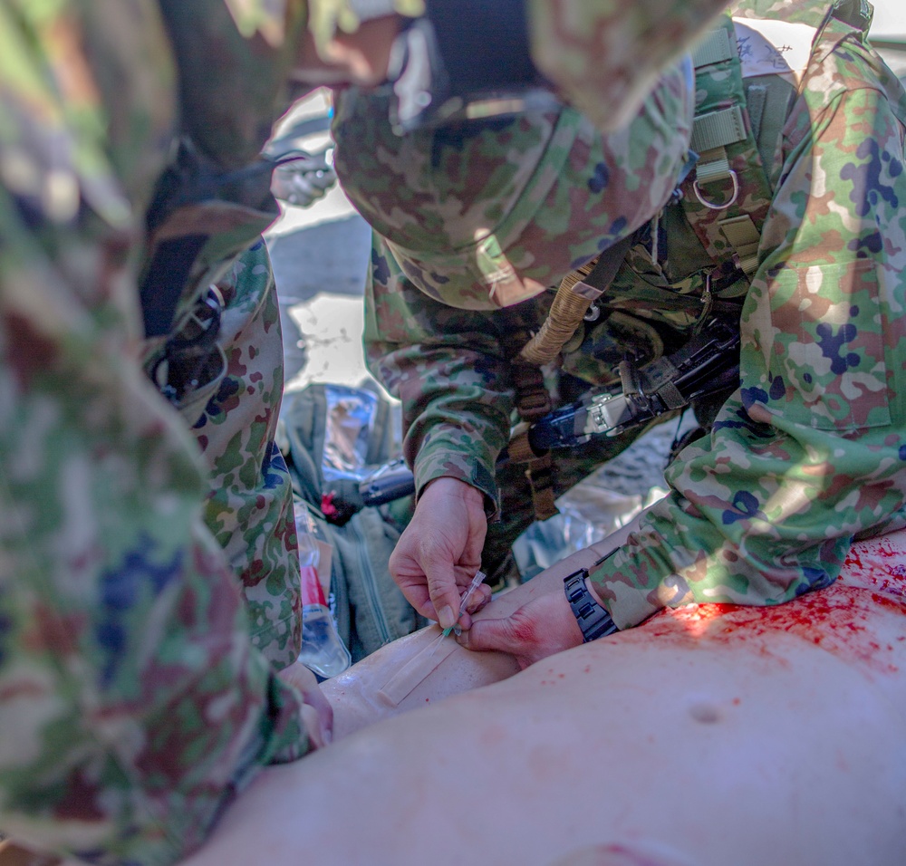 Exercise Iron Fist 2018: Combat Life Saver Course