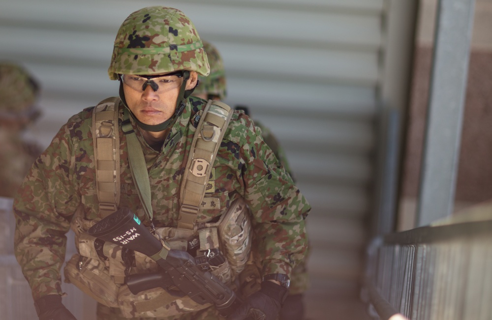 Exercise Iron Fist 2018: Fast Rope Drills