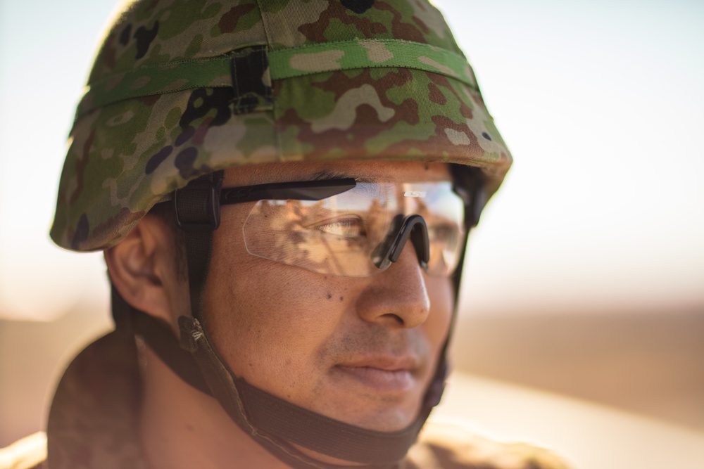 Exercise Iron Fist 2018: Combat Life Saver Course