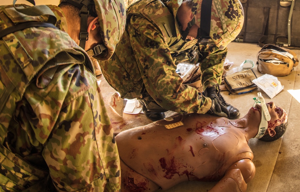 Exercise Iron Fist 2018: Combat Life Saver Course