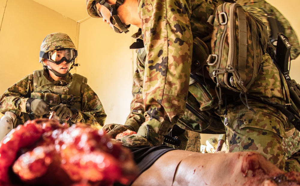 Exercise Iron Fist 2018: Combat Life Saver Course