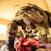 Exercise Iron Fist 2018: Combat Life Saver Course