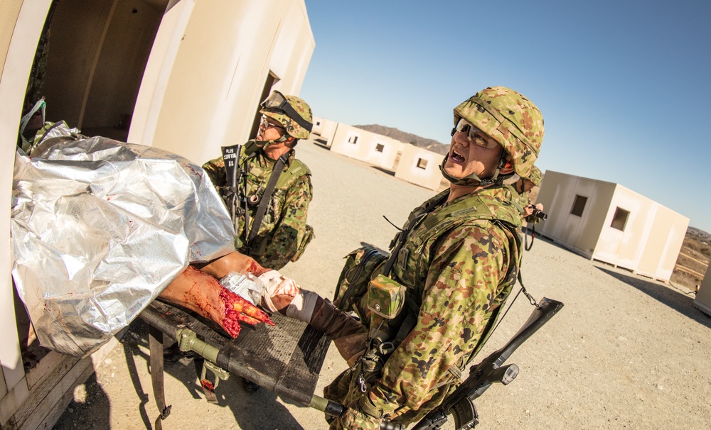 Exercise Iron Fist 2018: Combat Life Saver Course