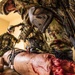 Exercise Iron Fist 2018: Combat Life Saver Course