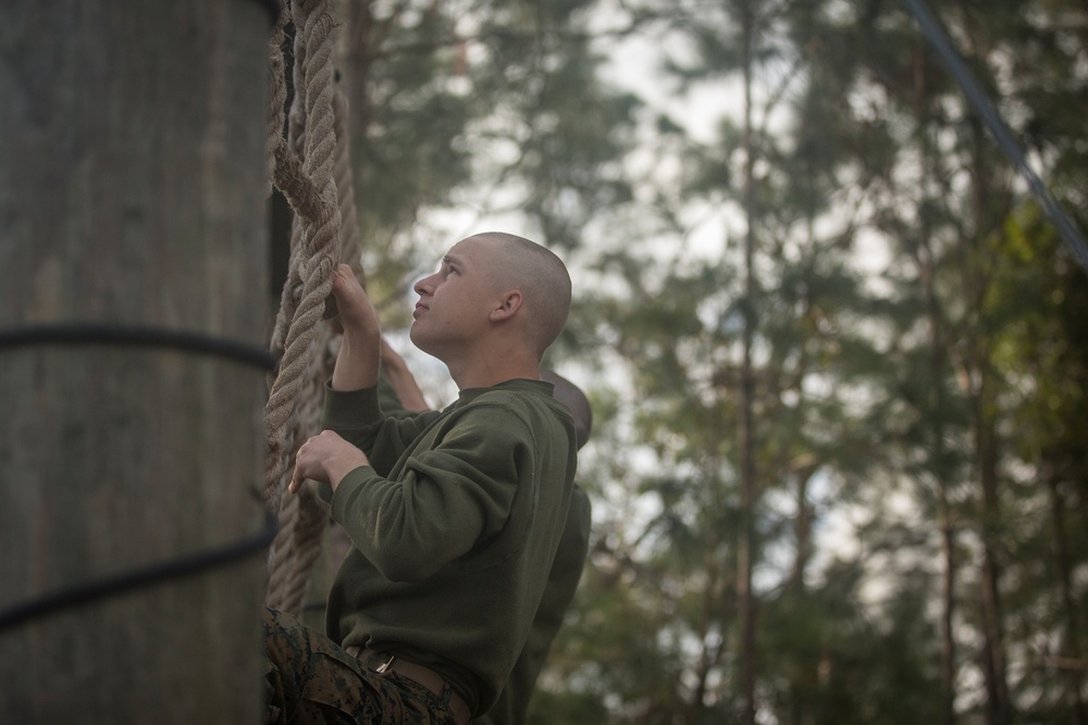 Alpha and Oscar Company Confidence Course