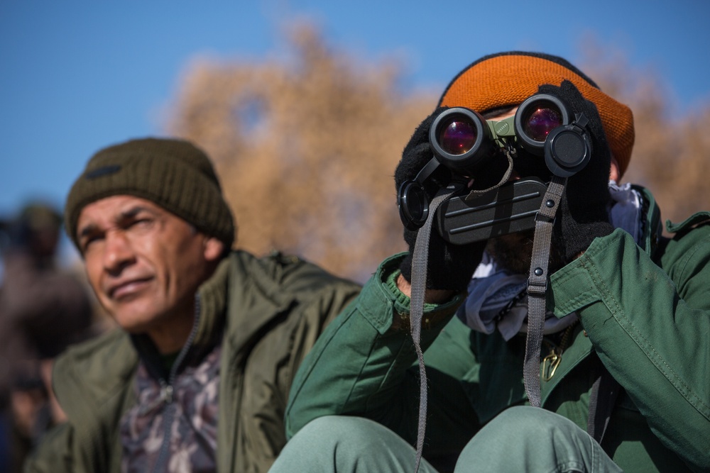 Forward Observation Post Training