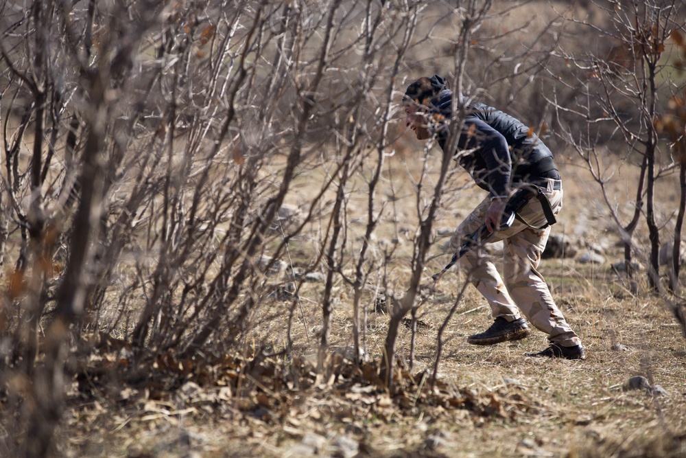 Forward Observation Training
