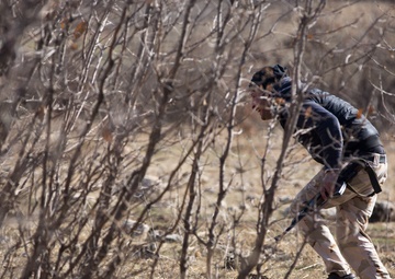 Forward Observation Training