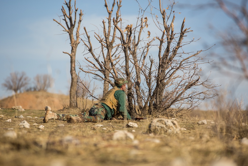 Forward Observation Training