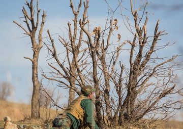 Forward Observation Training