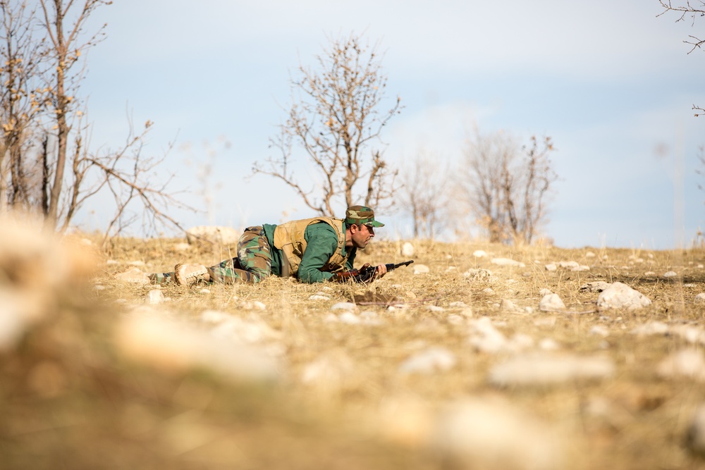 Forward Observation Training