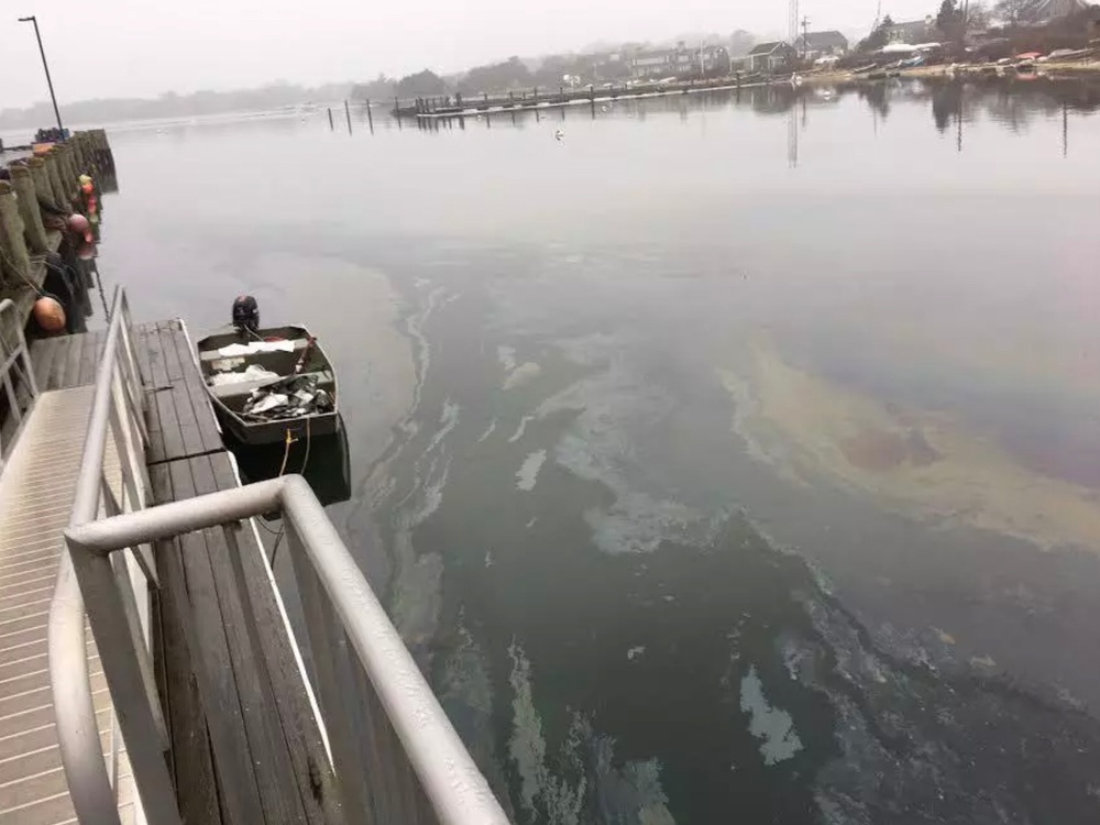Coast Guard, partners respond to oil spill near Woods Hole, Mass