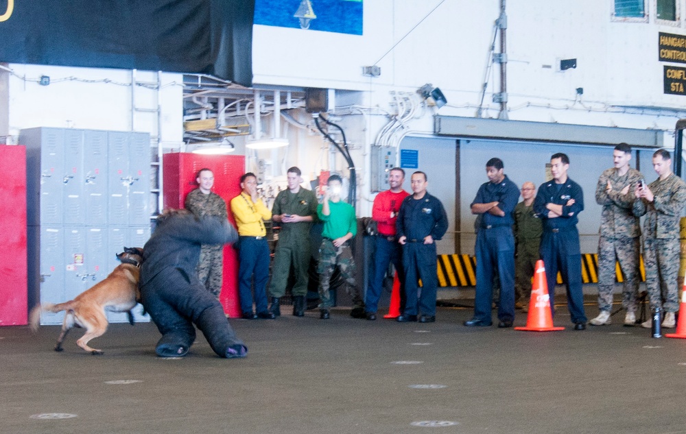 31st MEU MWD demonstration aboard USS Bonhomme Richard (LHD 6)