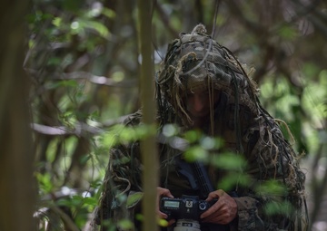 Air Force Special Tactics, Marine Recon groom joint ground leaders