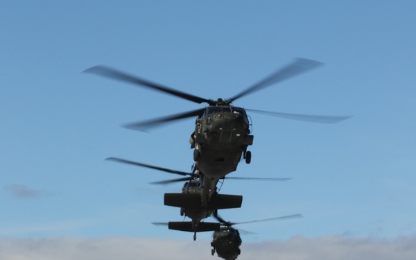 Operation Bowie Strike